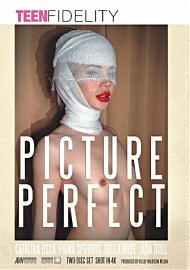 Picture Perfect (2 DVD Set) (2021) (215331.80)